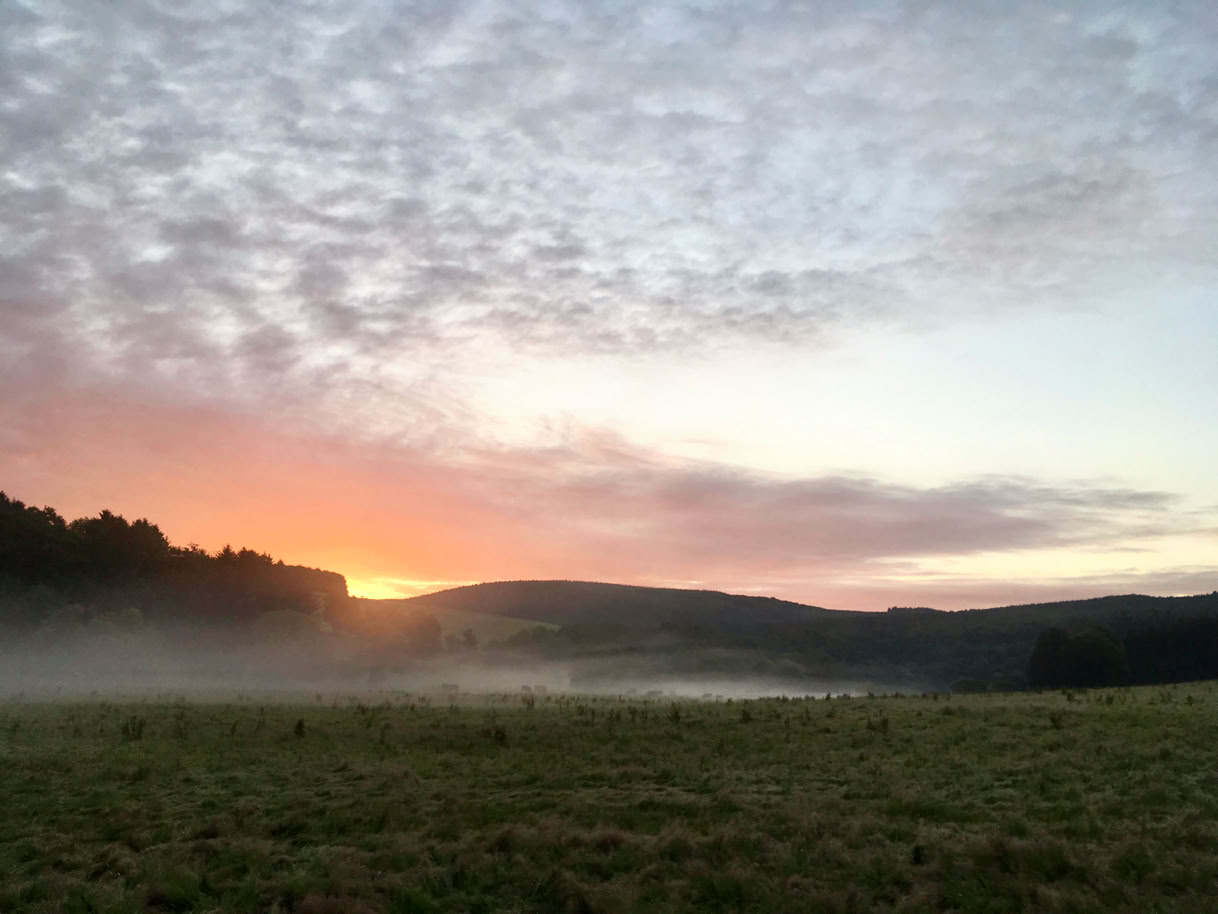Hentern Sonnenaufgang